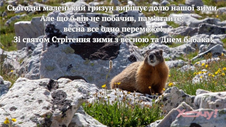 Поздравление с днем сурка