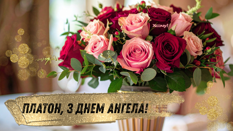 платон з днем ангела