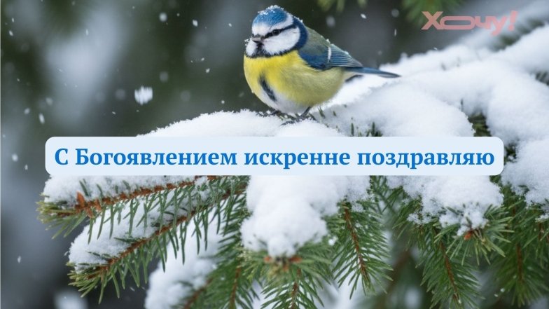 Красивые и душевные открытки к празднику