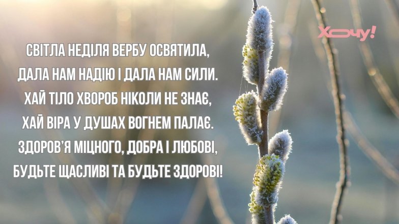 Вербное воскресенье 2026, картинка