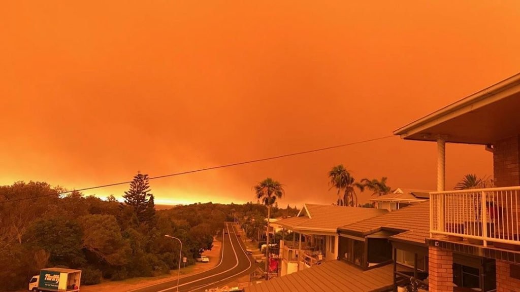 Пожары в Австралии: сколько погибло в огне, карта, реакция знаменитостей