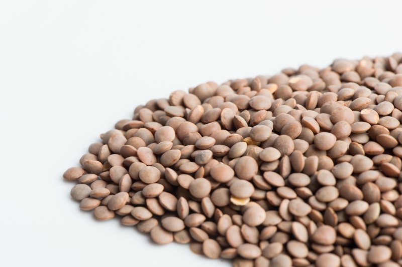 Ordinary green or brown lentils