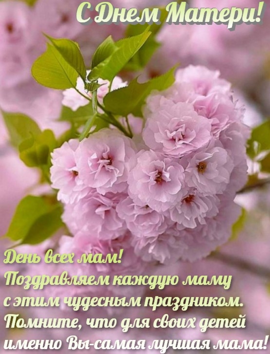 Прикольные поздравления с Днем матери подруге 🌹 – бесплатные пожелания на Pozdravim