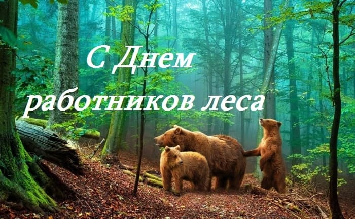 С Днём работника леса! Поздравление Губернатора С.Г. Левченко