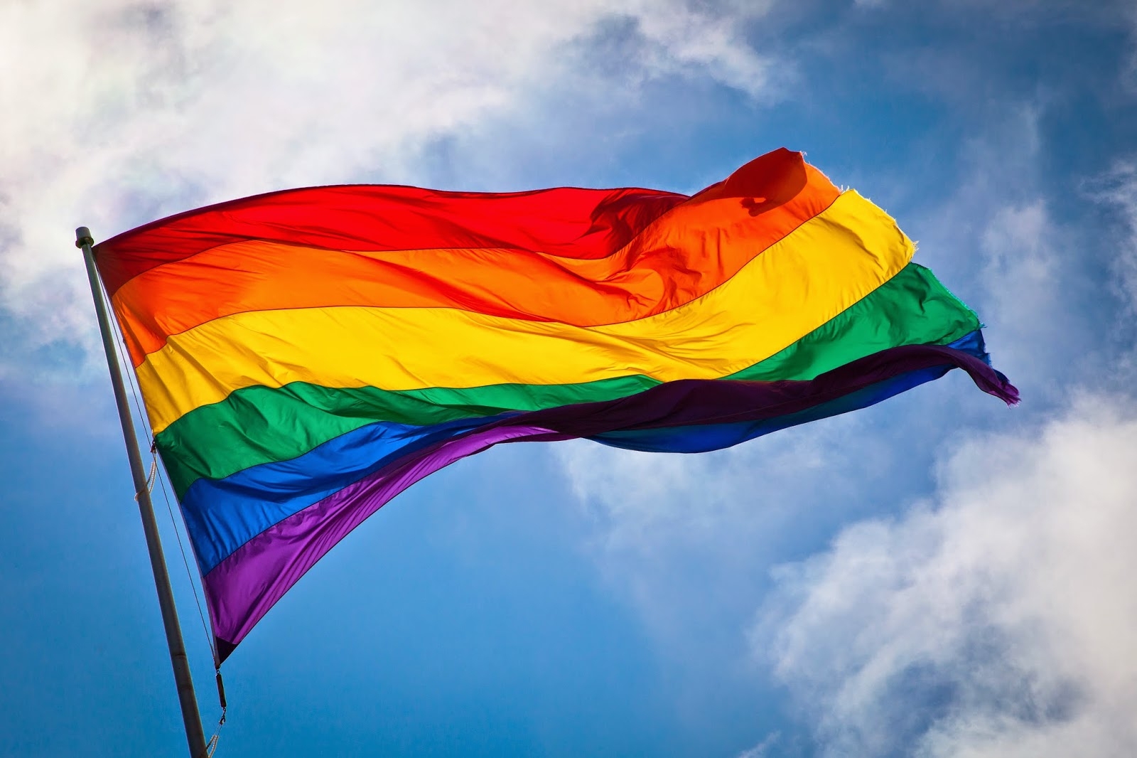 день борьбы с гомофобией