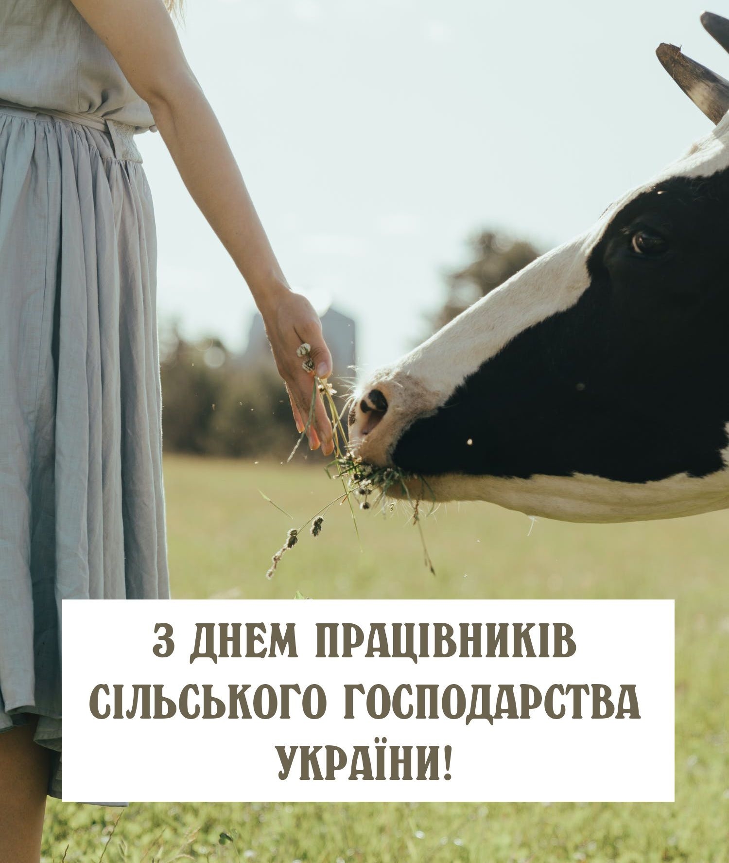 з днем працівників сільського господарства України привітання