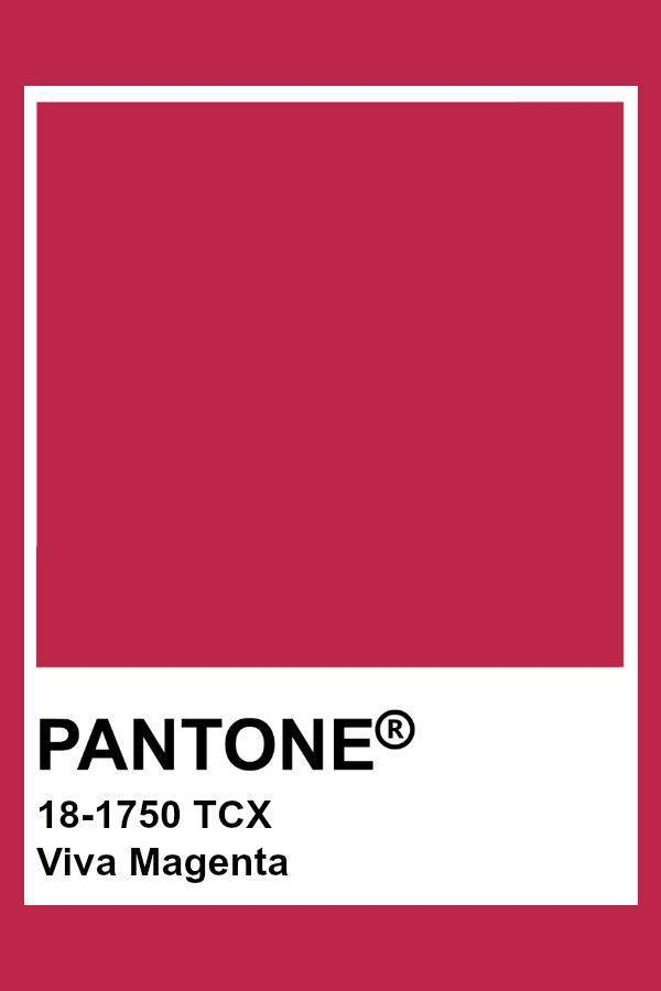 Институт Pantone назвал главный цвет 2023 года - фото №1