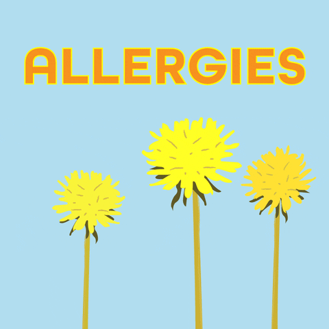 "Обнимай, да не замай": почему пик аллергии приходится на май и как с этим бороться? - фото №4