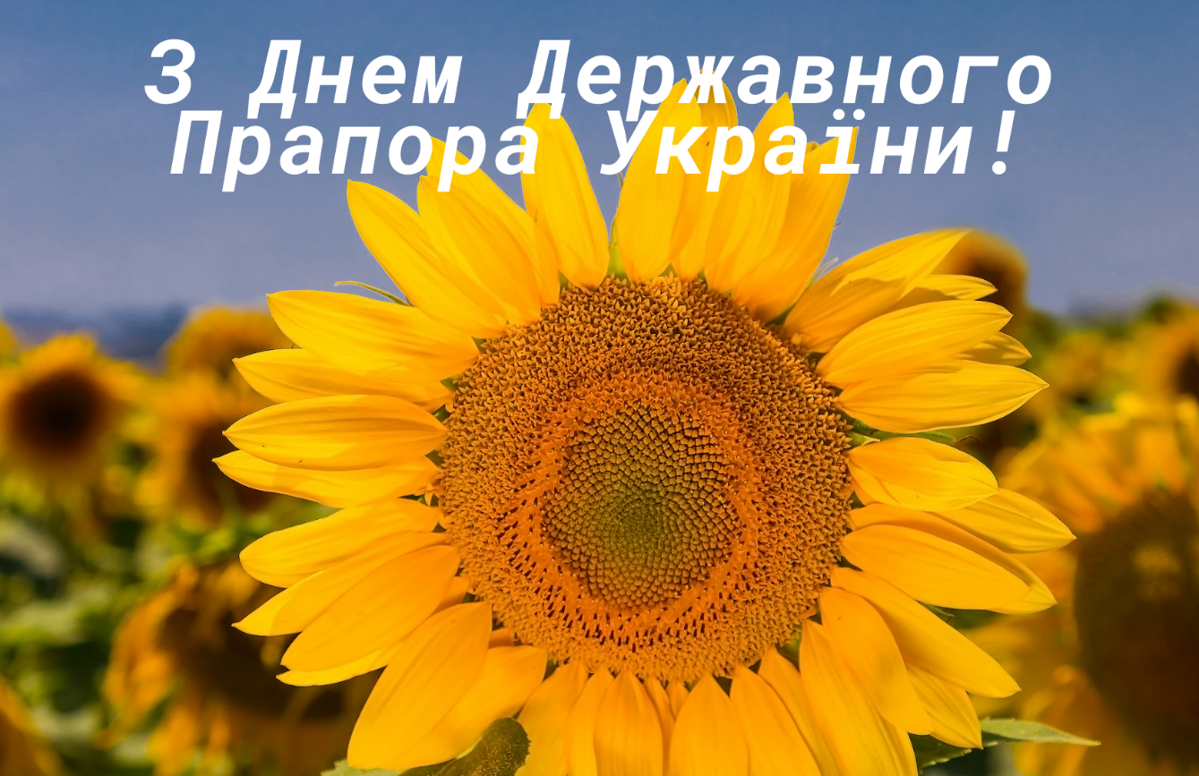 Синьо-жовтий символ незламності - День Державного Прапора України. Історія свята та що важливо знати про цей символ кожному українцю – Modista - Жіночий журнал день прапора україни